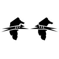 act_pair_164690551
