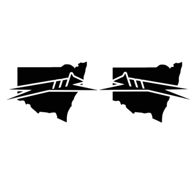 nsw_pair